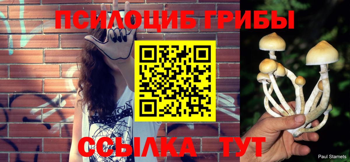 Псилоцибиновые грибы MAGIC MUSHROOMS Гулькевичи